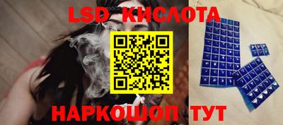 индика Кандалакша