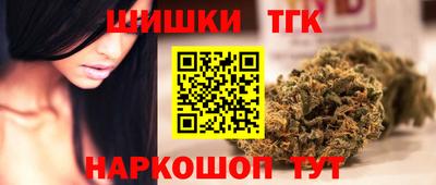 индика Кандалакша