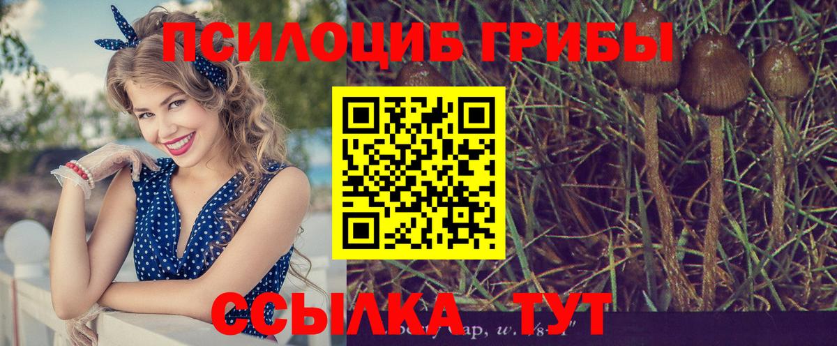 хочу наркоту  Вход с VPN  Чебаркуль  Галлюциногенные грибы прущие грибы 